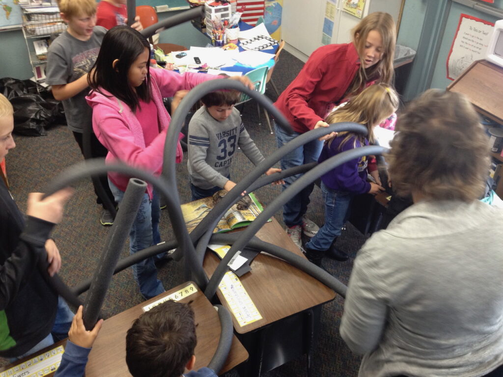 Building a beaver dam!